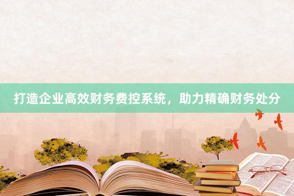 打造企业高效财务费控系统，助力精确财务处分