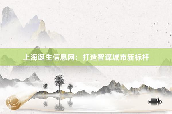 上海诞生信息网：打造智谋城市新标杆
