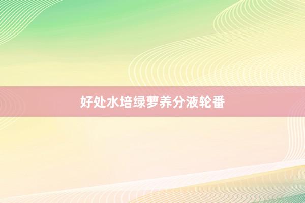 好处水培绿萝养分液轮番